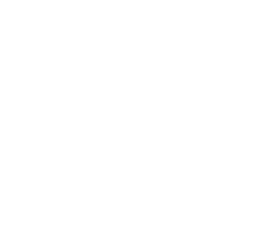 product icon